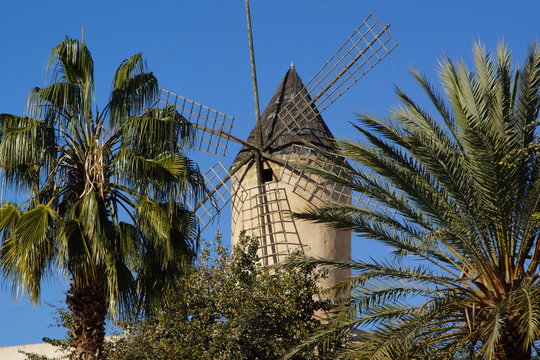 malorca
