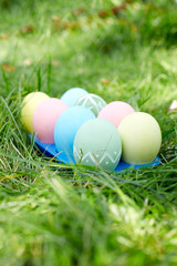 Fototapeta na wymiar Easter eggs on green grass. Easter holidays concept