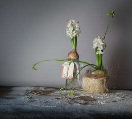 still life with hyacinths and freesias in glass vases.