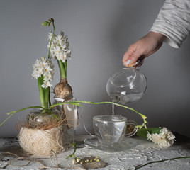 female hand pouring water from glass teapot into a cup. hyacinths and freesias in  vases.