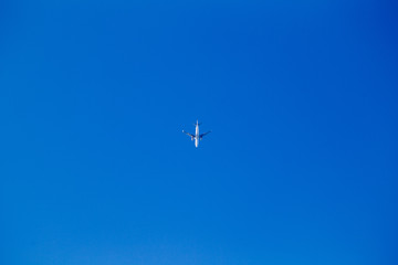 飛行機