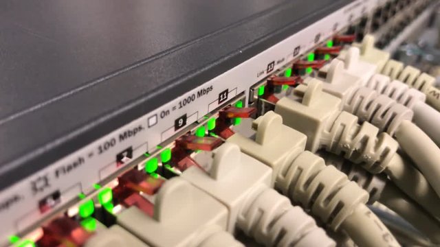 Netzwerkkabel an einem Netzwerk HUB 