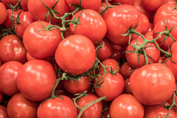 Counter on a fruit and vegetable market full of red Tomatoes, fresh and newly harvested.