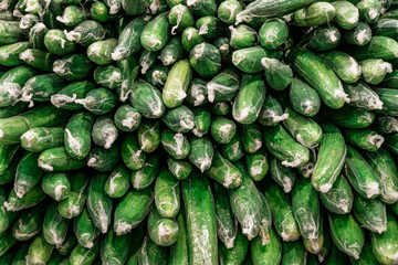 Stack of green cucumbers wrapped in clear plastic.. Stacked together in a large pile.