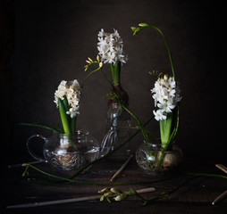 three white hyacinth in transparent vases on a dark background