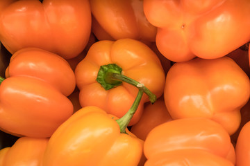 Orange Bell peppers