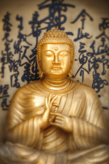 Fototapeta premium Buddha portrait