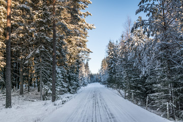 View of a slippery winter road on the Swedish country side, snow and ice is hanging from the trees.