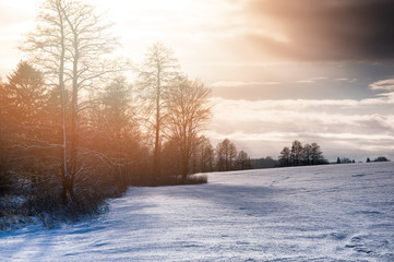 Winter landscape in the countryside