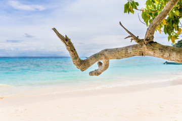 Beautiful landscape sky and blue sea under a green tree and bran