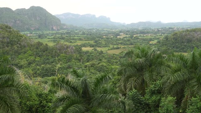 View to the green tropical valley in mountains at summer windy day