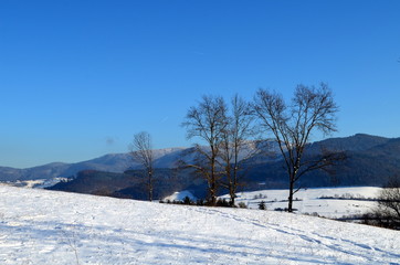 Schwarzwaldwinterlandschaft