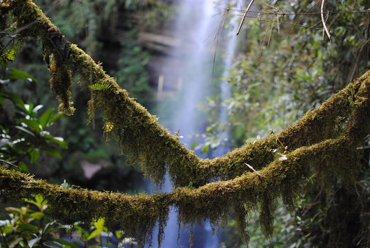 La Chorrera