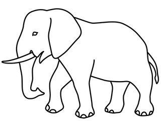 Obraz premium Elephant contour icon