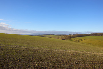 Fototapeta na wymiar wheat field and valley
