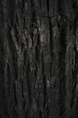 Tree structure. Macro