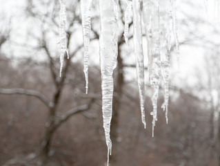 Icicles hang from the roof on blurred background. The trees in the background