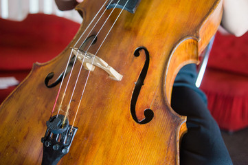 Fototapeta premium Music School for Girls on the violin