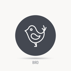 Bird with beak icon. Cute small fowl symbol. Social media concept sign. Round web button with flat icon. Vector