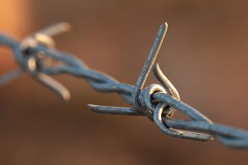 Detail of barbwire in bright morning sun - selective focus
