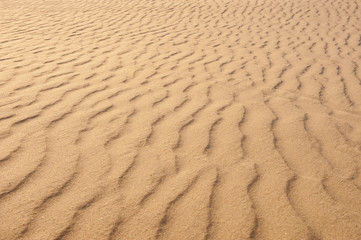 Golden sun lit sand with wind blown ripples pattern texture background