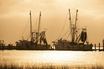 Fishing boats silhouetted in the harbor with golden sunlight