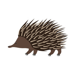 Echidna. Flat cartoon vector illustration