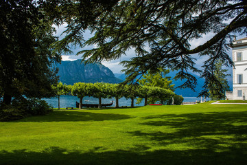 Bellagio city on Lake Como, Italy. Lombardy region. Italian famous landmark, Villa Melzi Park. Botanic Garden plants and trees.