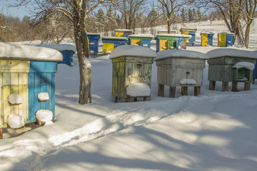 The hives in the garden are covered with snow in winter.