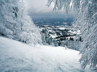 Fototapeta na wymiar Snowy winter forest in mountains, nature background