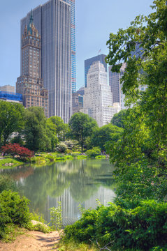 Central Park View