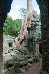 Fototapeta premium Portal to Angkor ruins