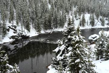 Obraz na płótnie Canvas Yellowstone Winter Snow Madison River