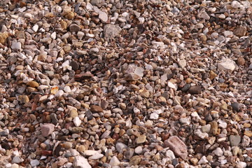 Kiesel am Strand in Dänemark