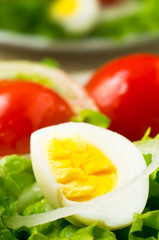 Boiled egg on a plate with lettuce, onions and cherry