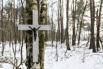 Krzyż na drzewie w lesie zimą