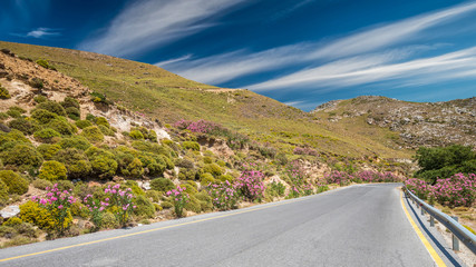 Crete island landscape, Greece. Road with plants of oleanders and flowers on the both sides