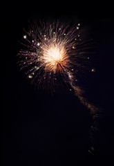 Firework 