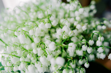 Blossoming lily of the valley in the forest. Lily-of-the-valley. Convallaria majalis.Spring background. Floral background.Selective focus.