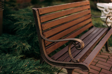 Stylish bench in summer park