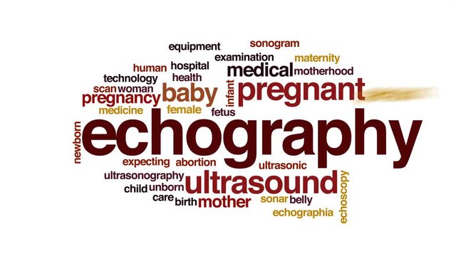 Echography animated word cloud.