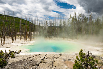 Yellowstone