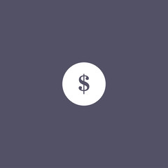 money icon