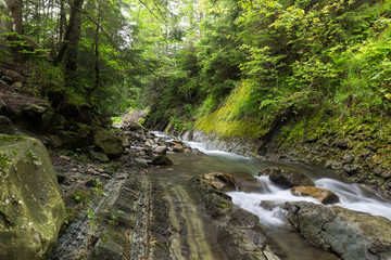 Geological layers (sedimentary rocks) in the river in a pine forest