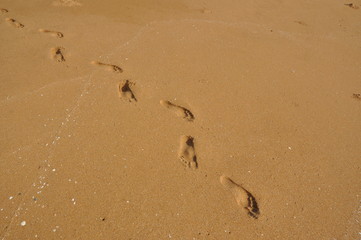 The path of the tracks on beach sand