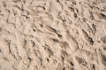 Trample white sand on the beach