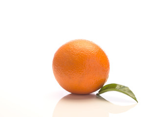orange, isolated on a white background