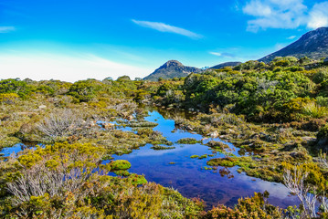 Beautiful rugged scenery with glacial lakes and alpine heath on remote mountain plateau at Hartz Mountains National Park, Tasmania