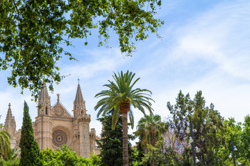 Balearic Islands Palma de Mallorca  famous historical La Seu Cat