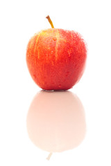 Apple With Reflection